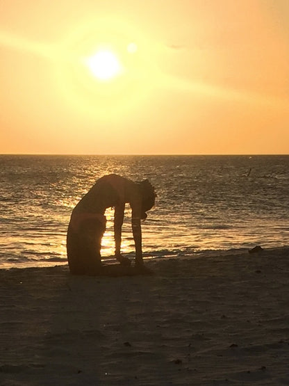 Yoga 🧘‍♀️ and Meditation